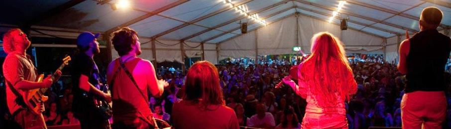 Folk rock band Blackbeard's Tea Party playing a ceilidh at Cambridge Folk Festival 2012.jpg